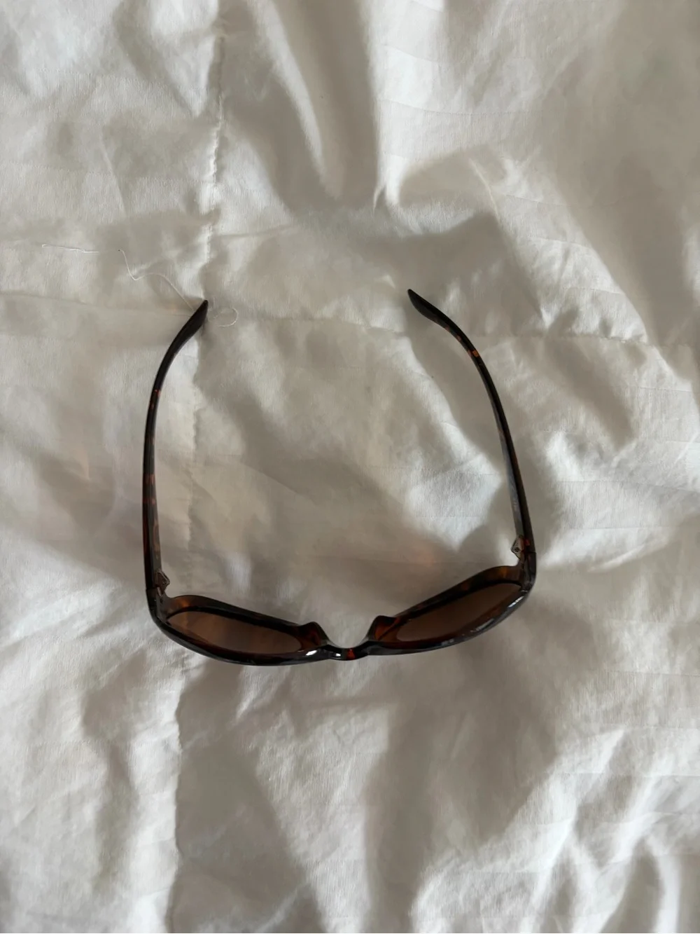 Women’s Oversized Brown Sunglasses